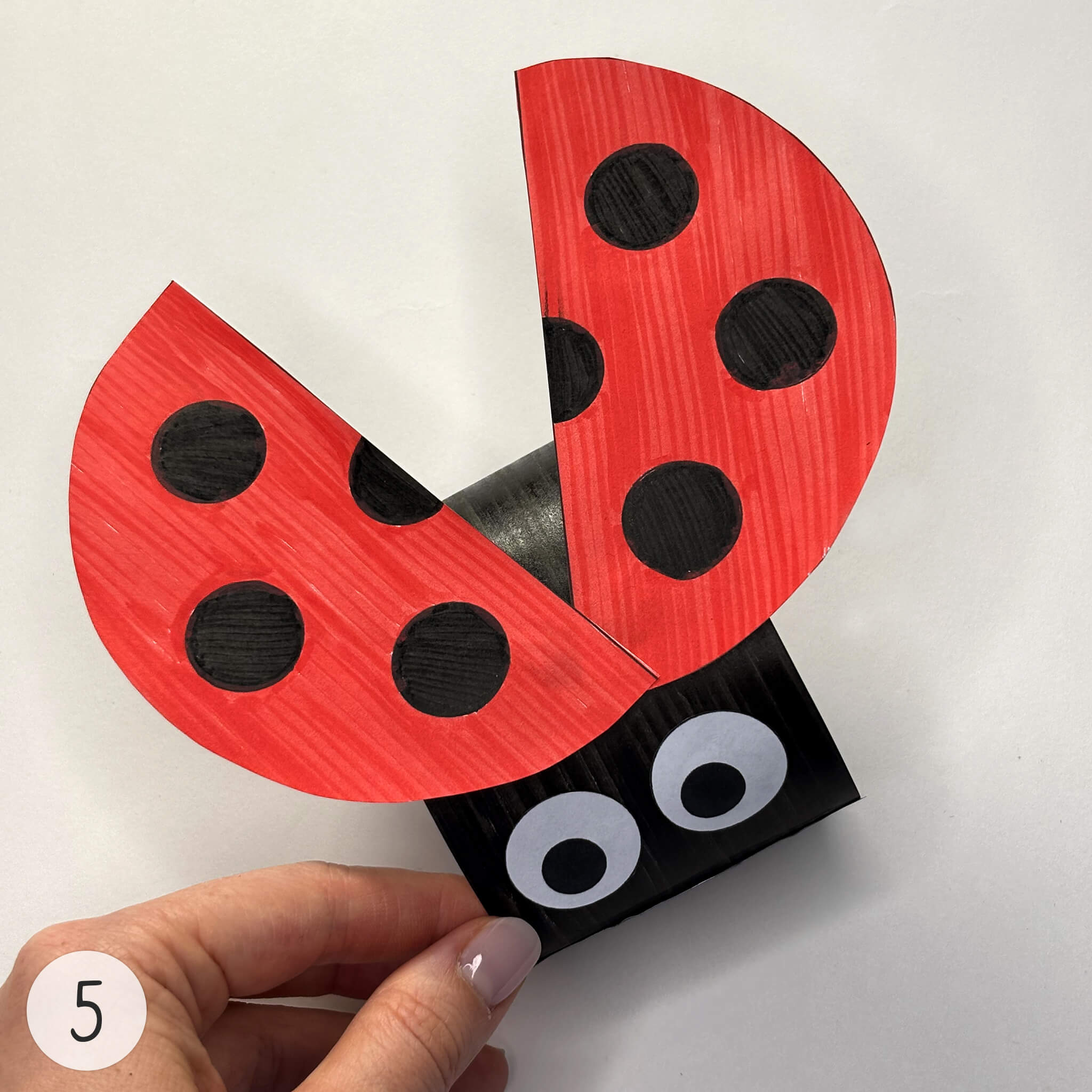 Instruction for «Paper Ladybug Craft Template» - Image 5