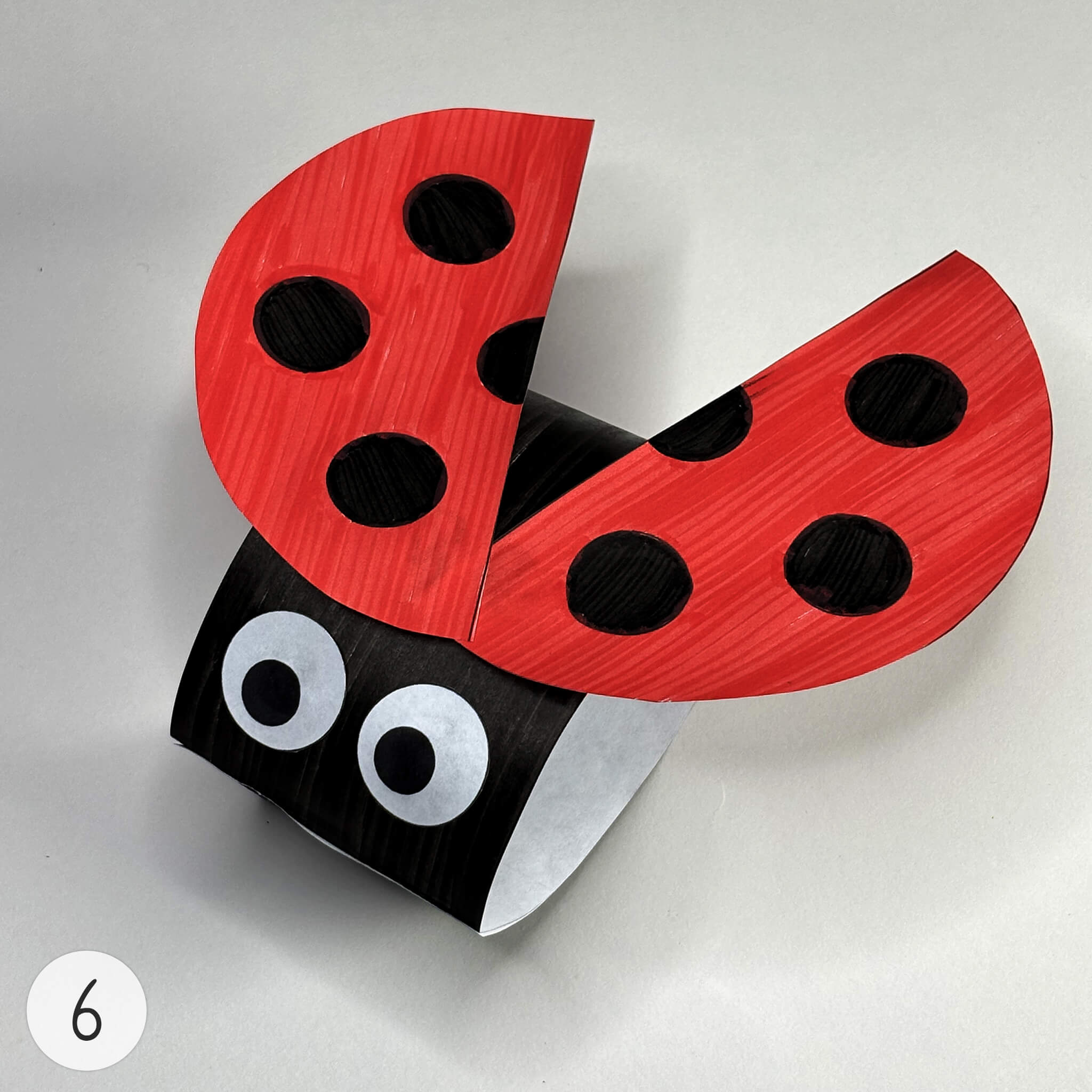 Instruction for «Paper Ladybug Craft Template» - Image 6