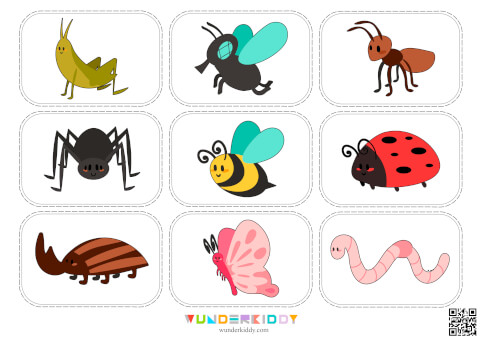 Printable Animal Classification Sorting Preschool Activity