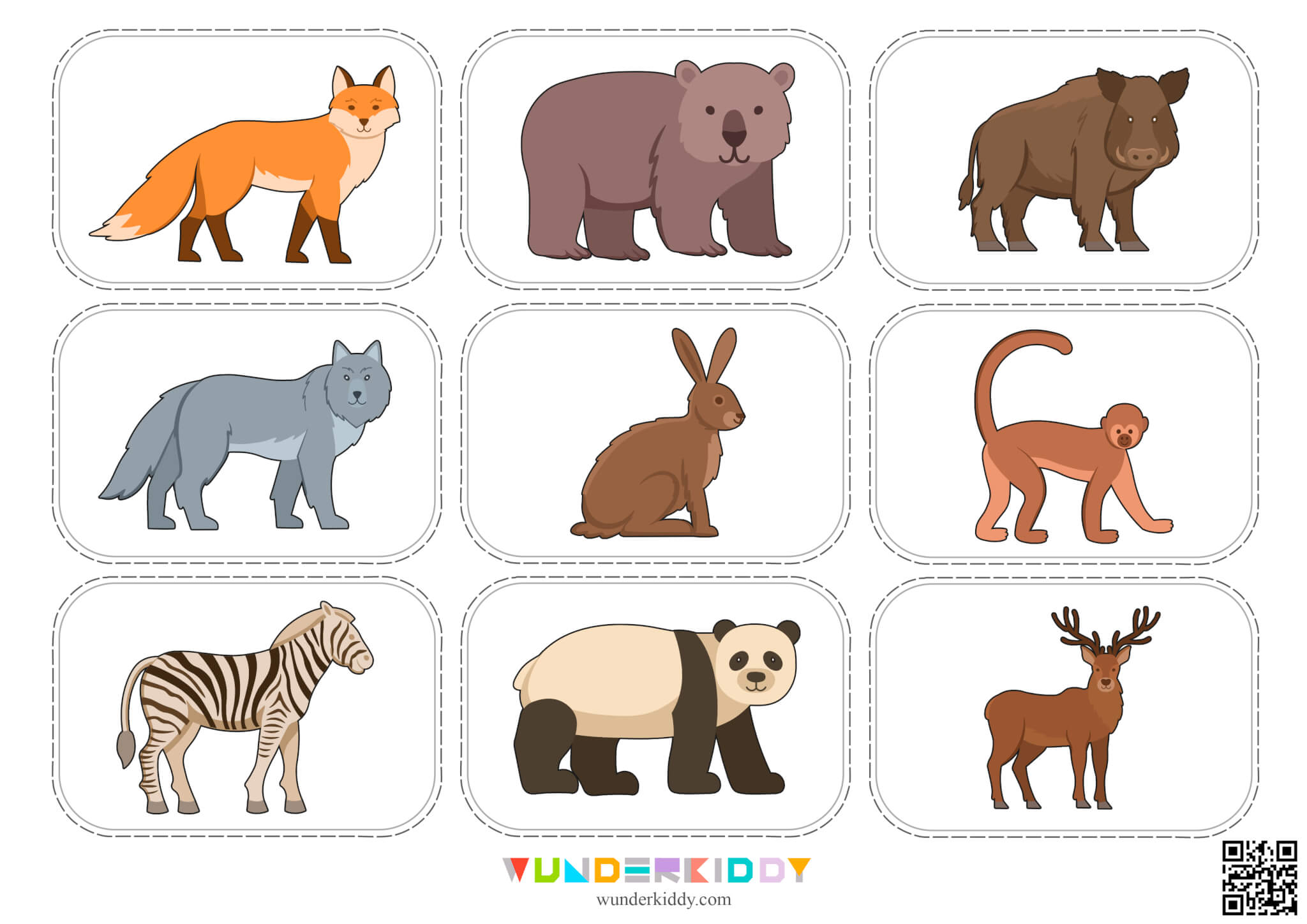 Animal Classification Sorting Game - Image 9