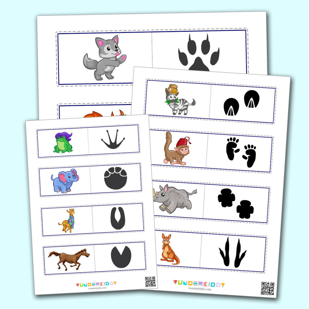 Printable Matching Activity For Preschoolers Animal Tracks