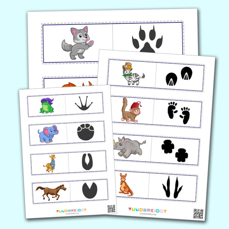 Познавательная игра «Следы животных» – распечатать PDF