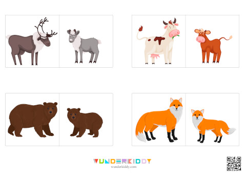 Activity sheet Animal offspring - Image 5