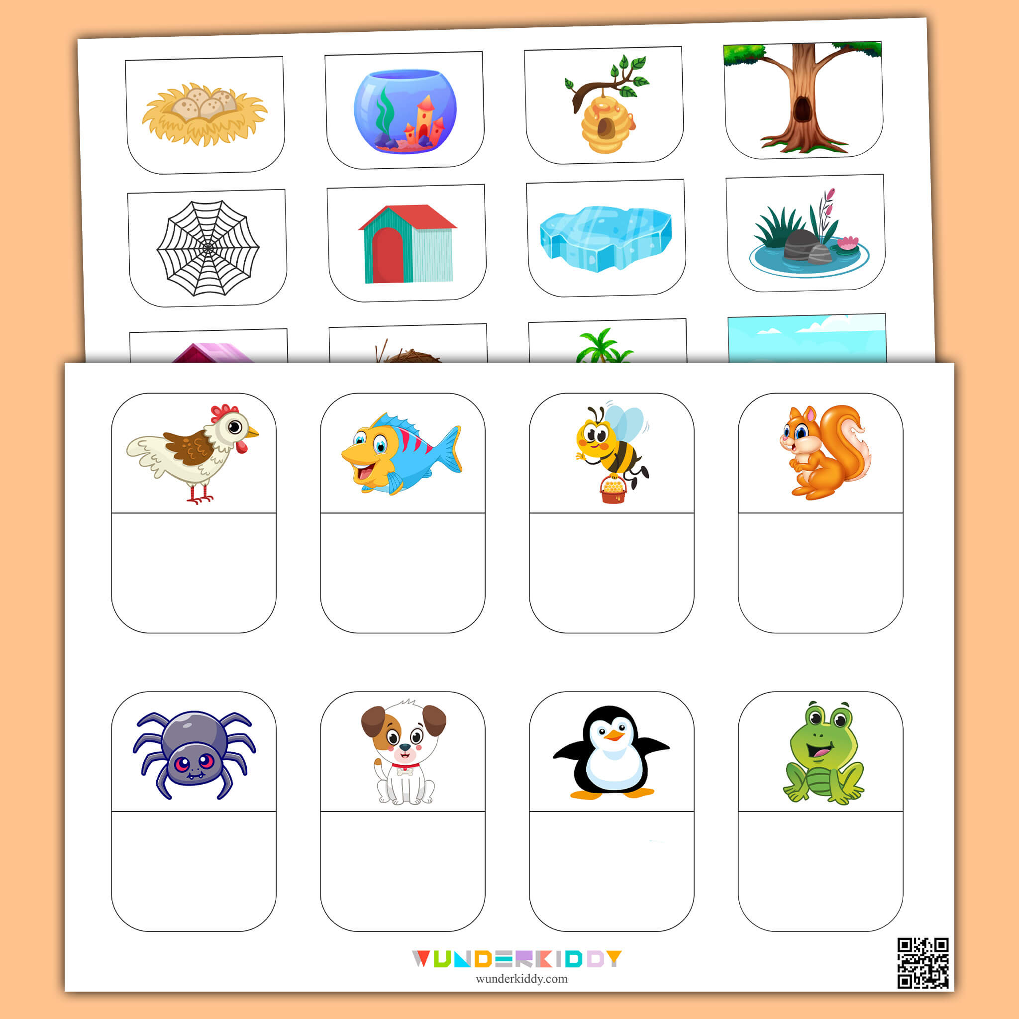 Animals and Homes Worksheet