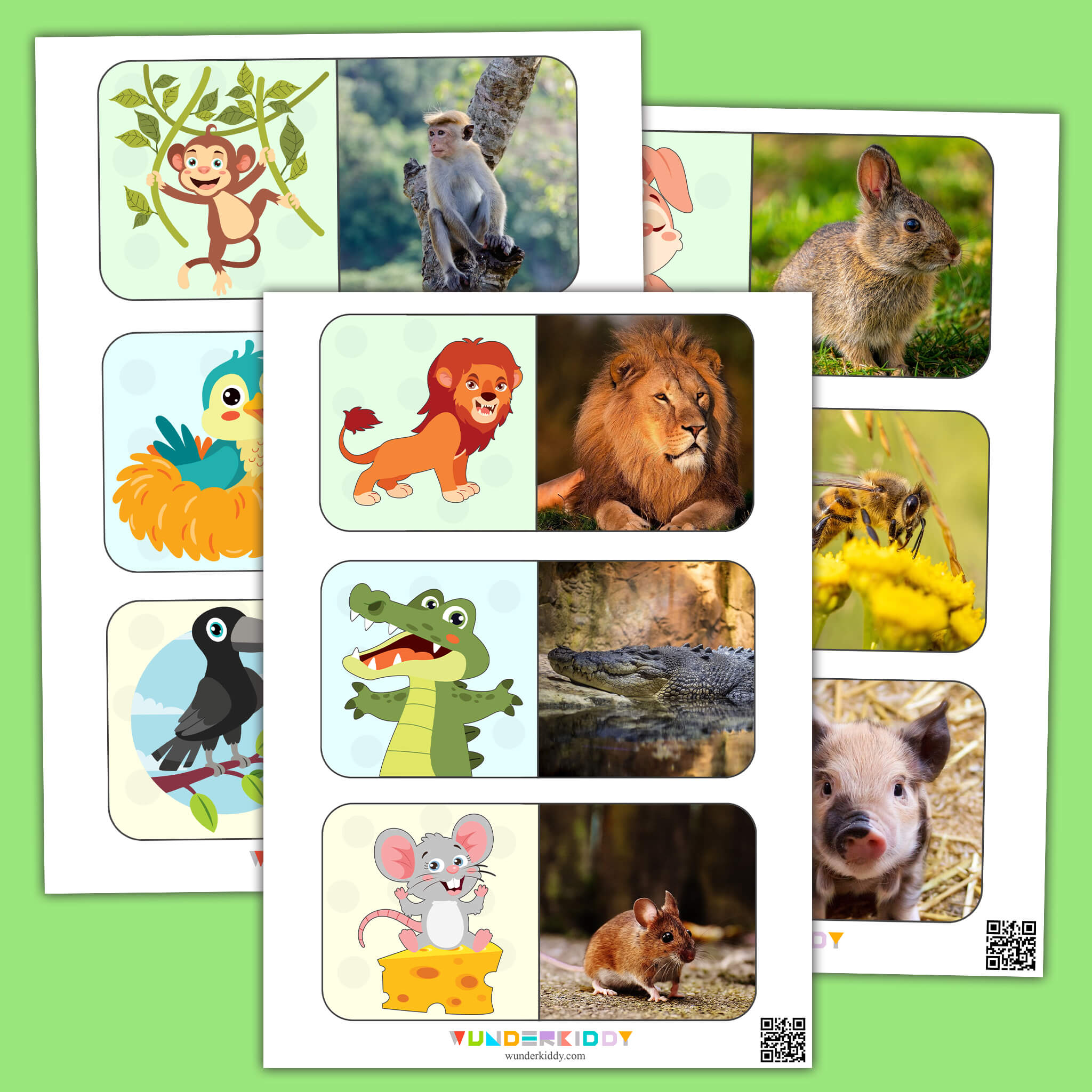 Animals Montessori Cards for Kids