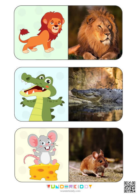 Animals Montessori Cards for Kids - Image 2