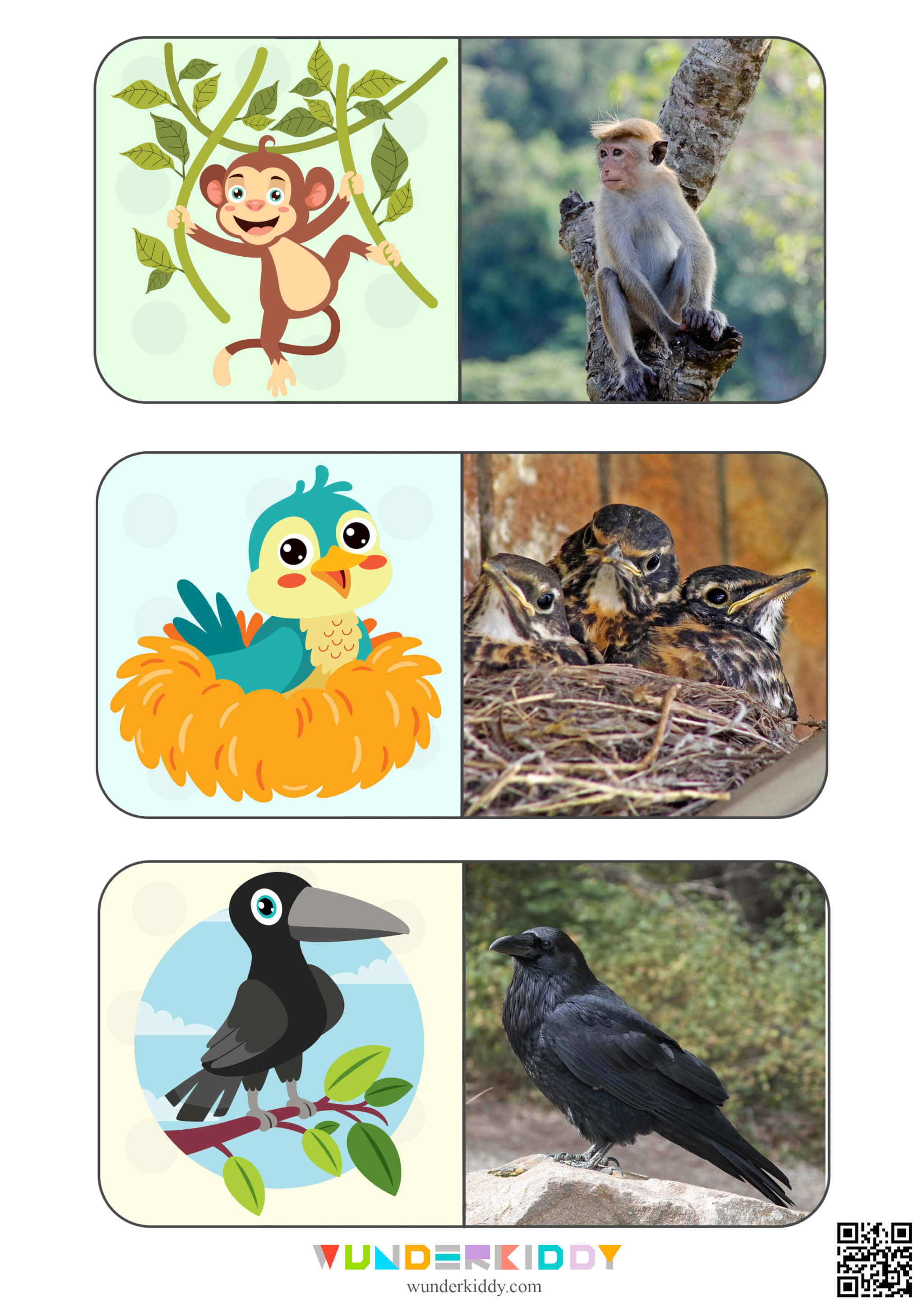 Animals Montessori Cards for Kids - Image 3