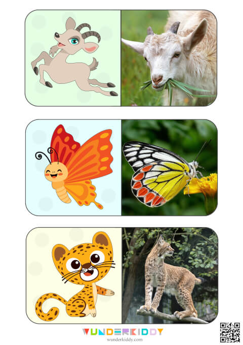 Animals Montessori Cards for Kids - Image 4