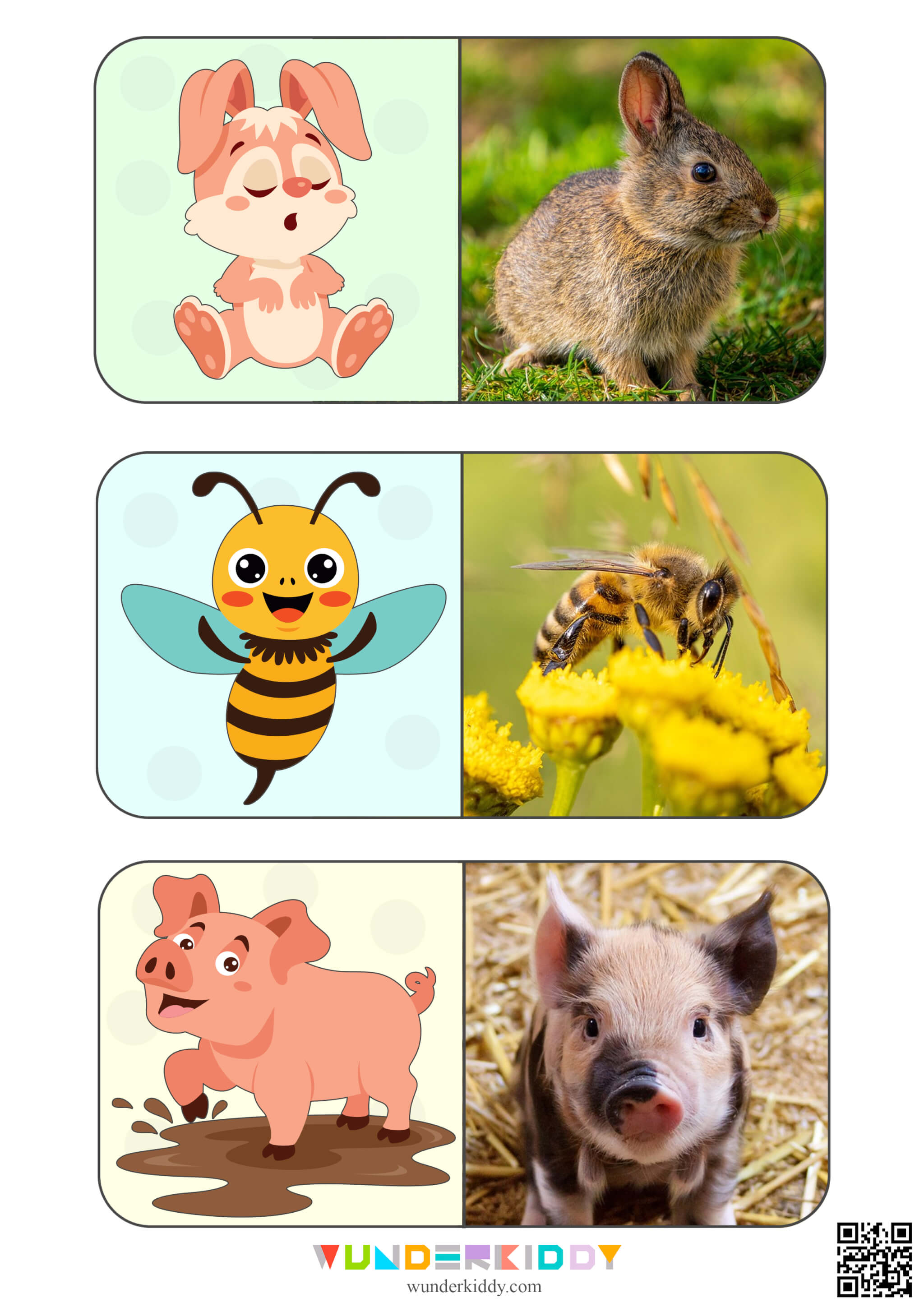 Animals Montessori Cards for Kids - Image 5