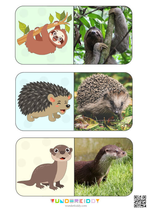 Animals Montessori Cards for Kids - Image 6