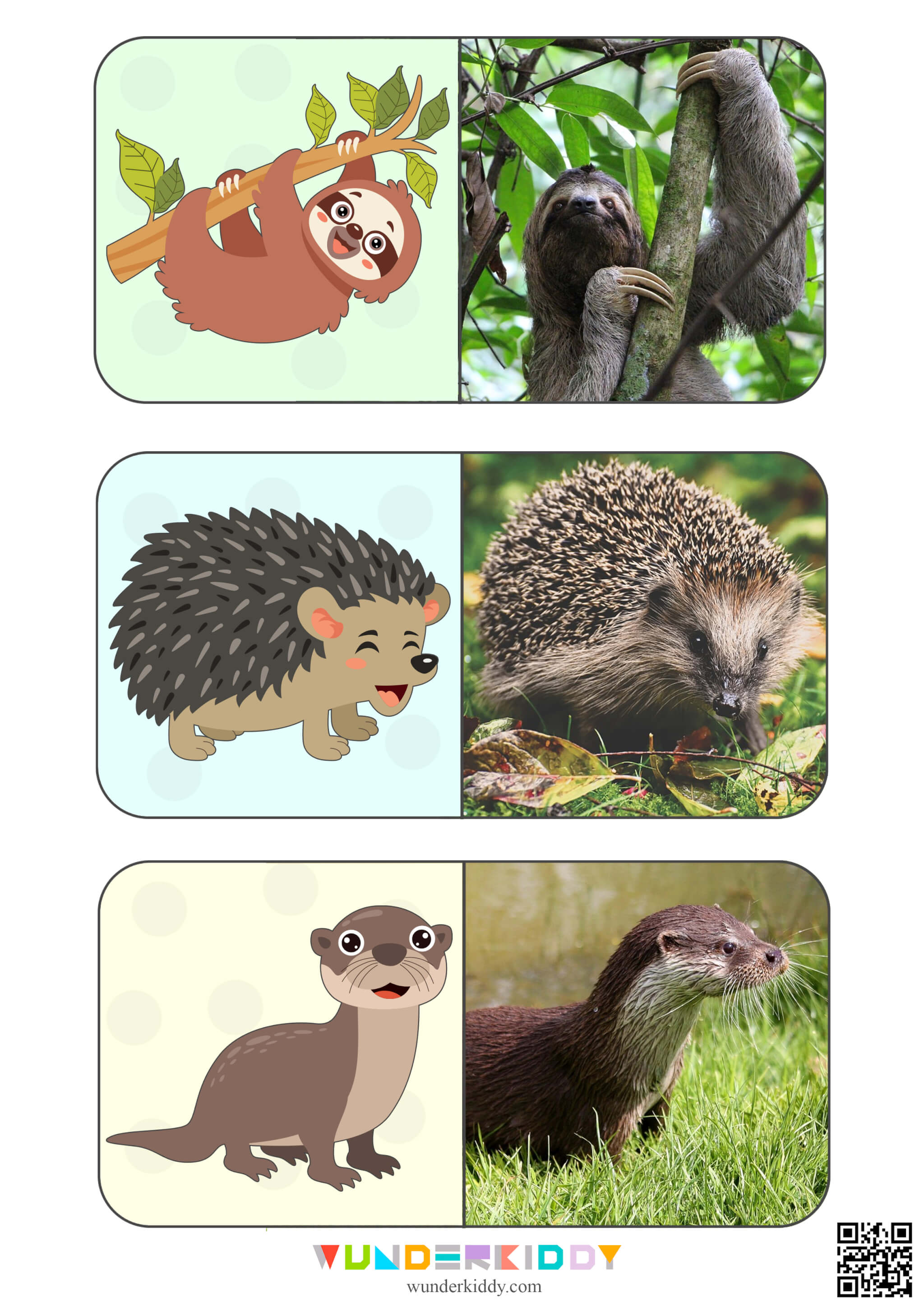 Animals Montessori Cards for Kids - Image 6