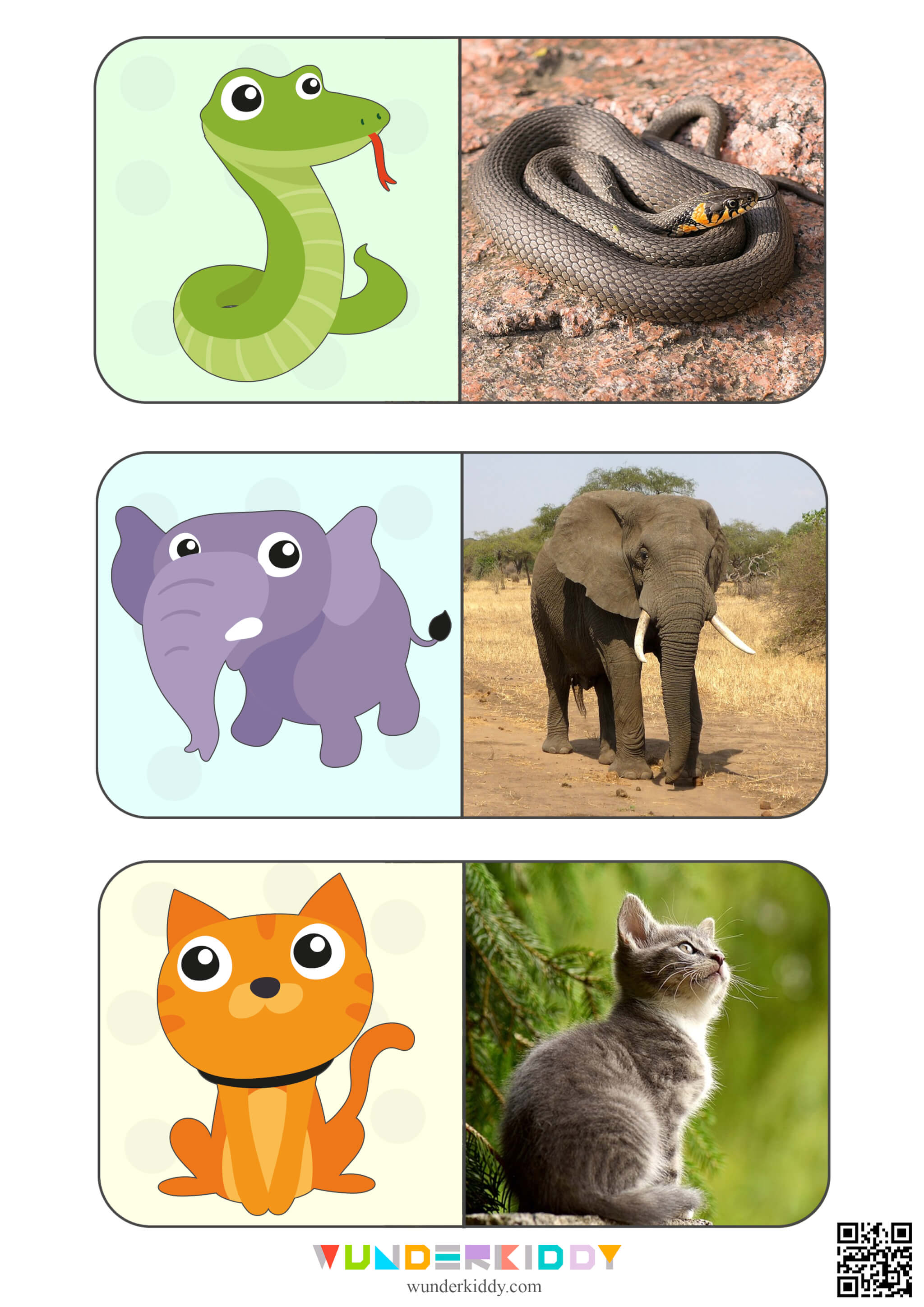 Animals Montessori Cards for Kids - Image 7