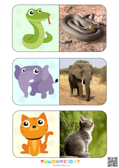 Animals Montessori Cards for Kids - Image 7