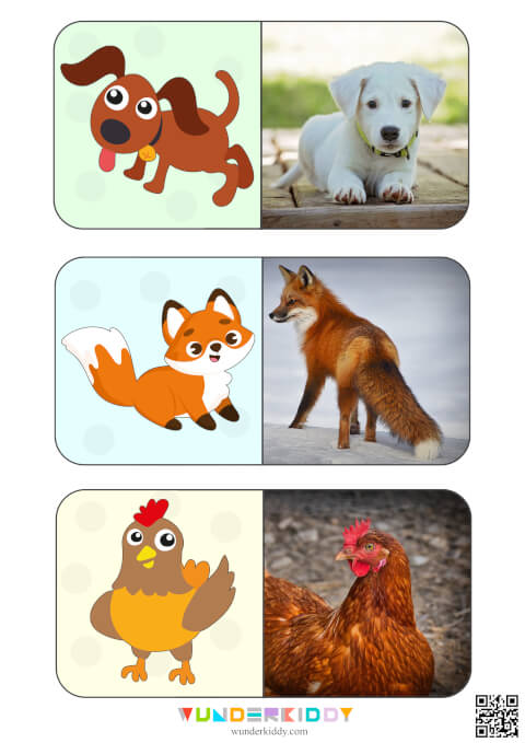 Animals Montessori Cards for Kids - Image 8