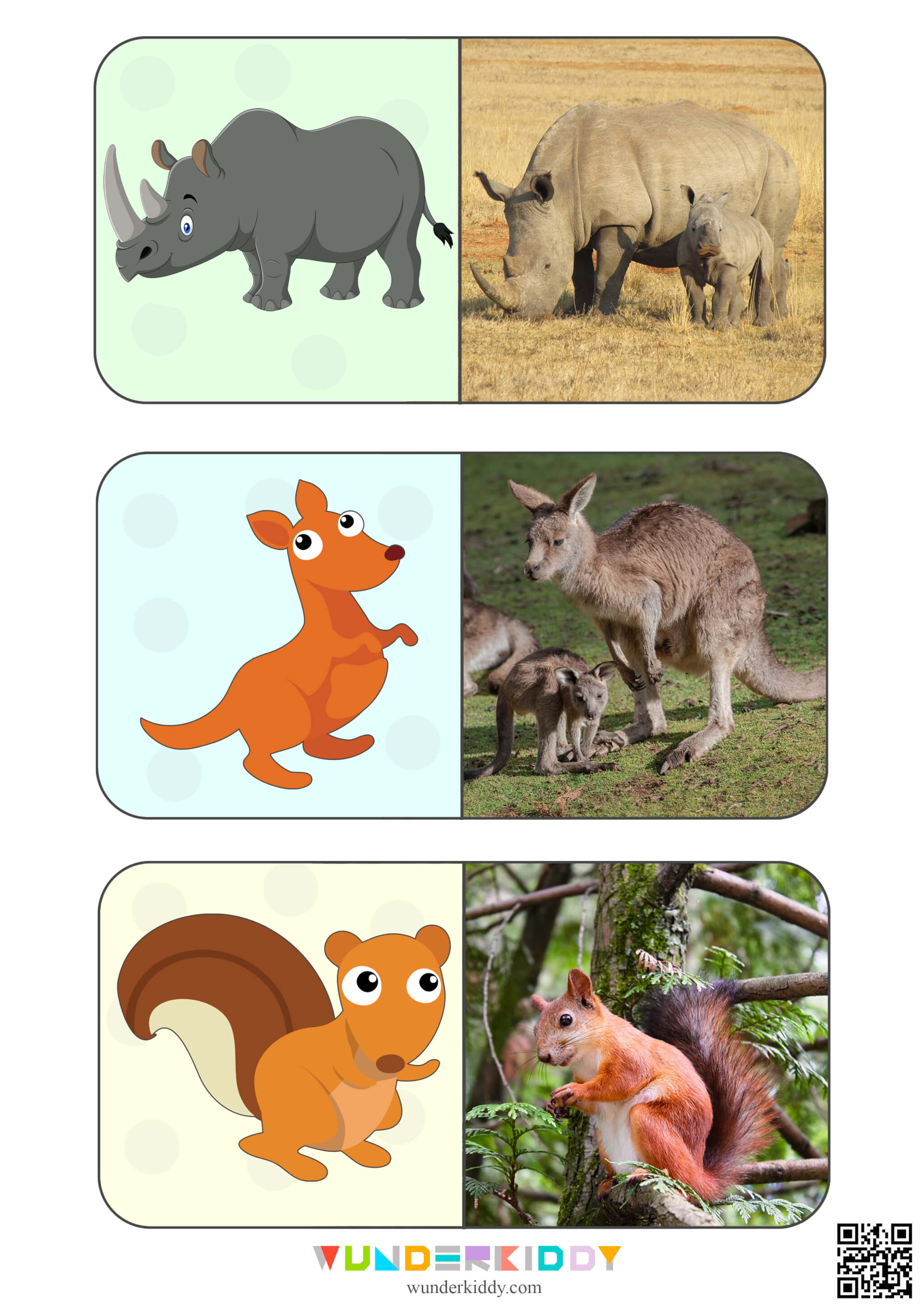 Animals Montessori Cards for Kids - Image 9