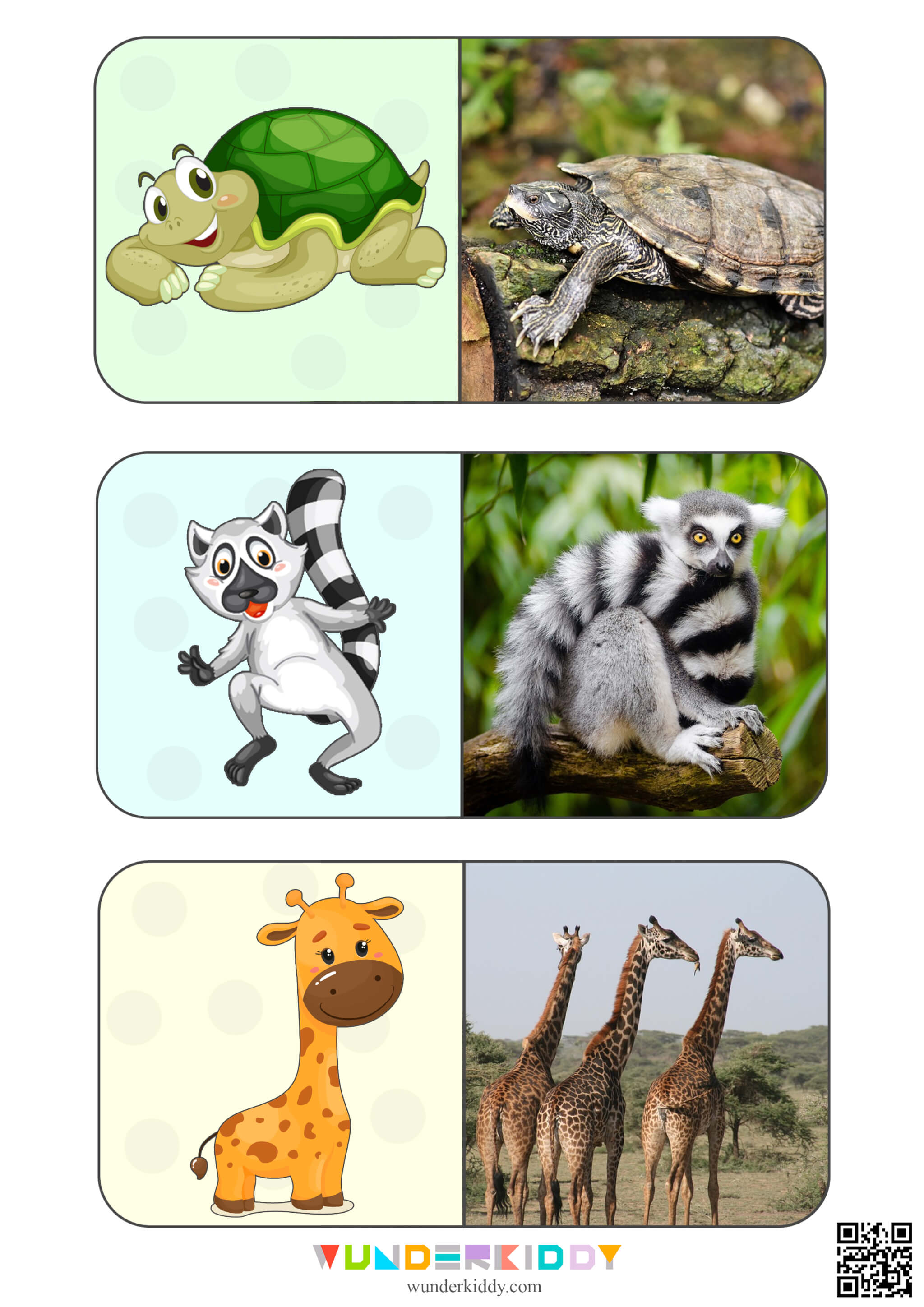 Animals Montessori Cards for Kids - Image 11