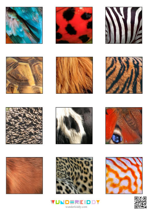 Animals Skin Matching Cards - Image 2