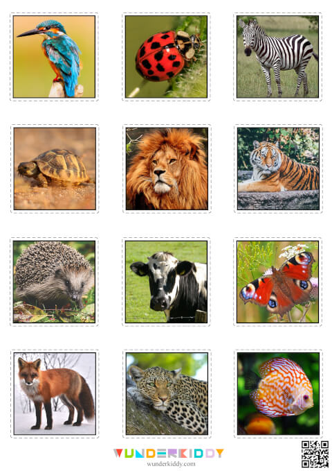 Animals Skin Matching Cards - Image 3