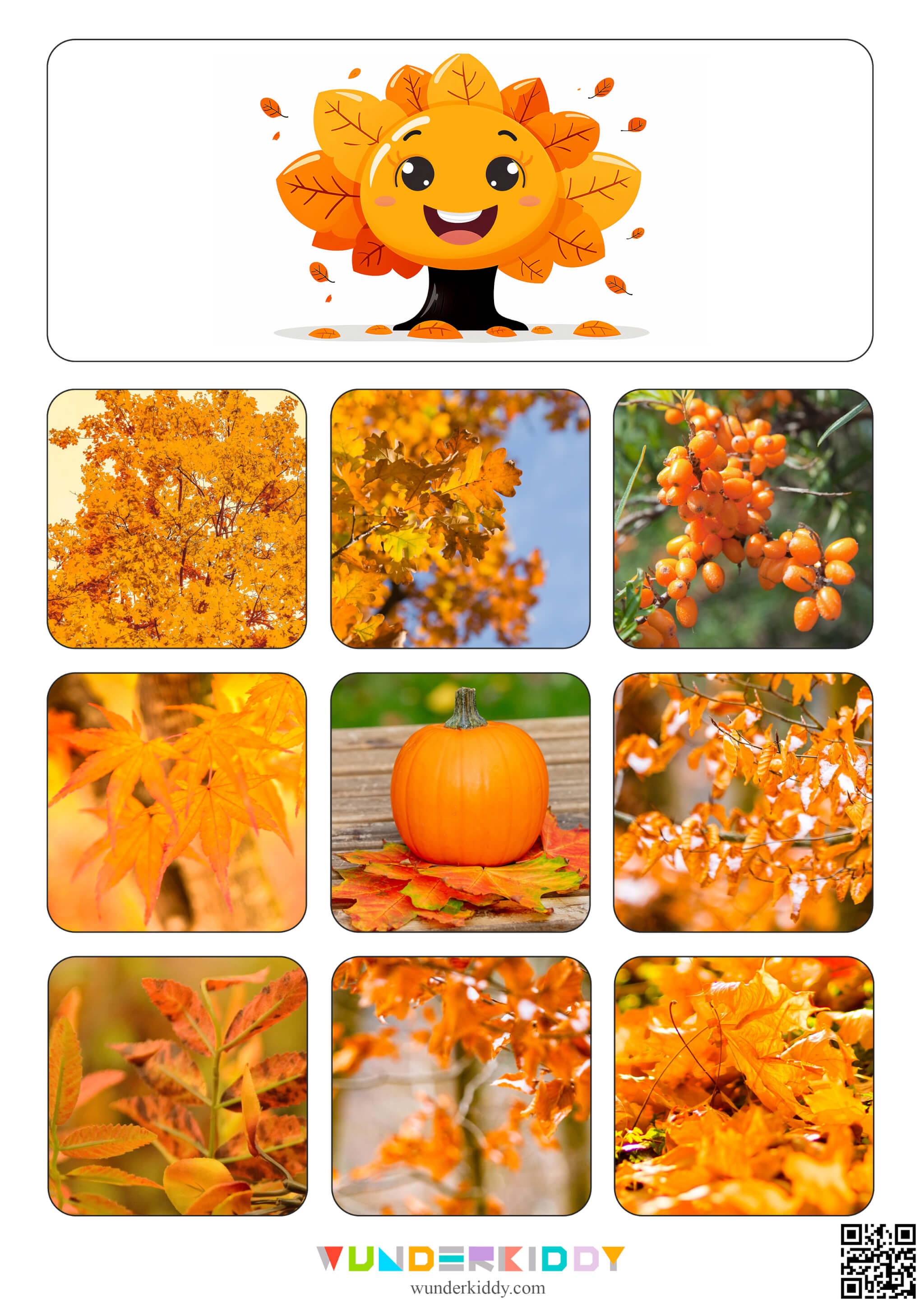 Autumn Nature Photo Sorting Game - Image 2