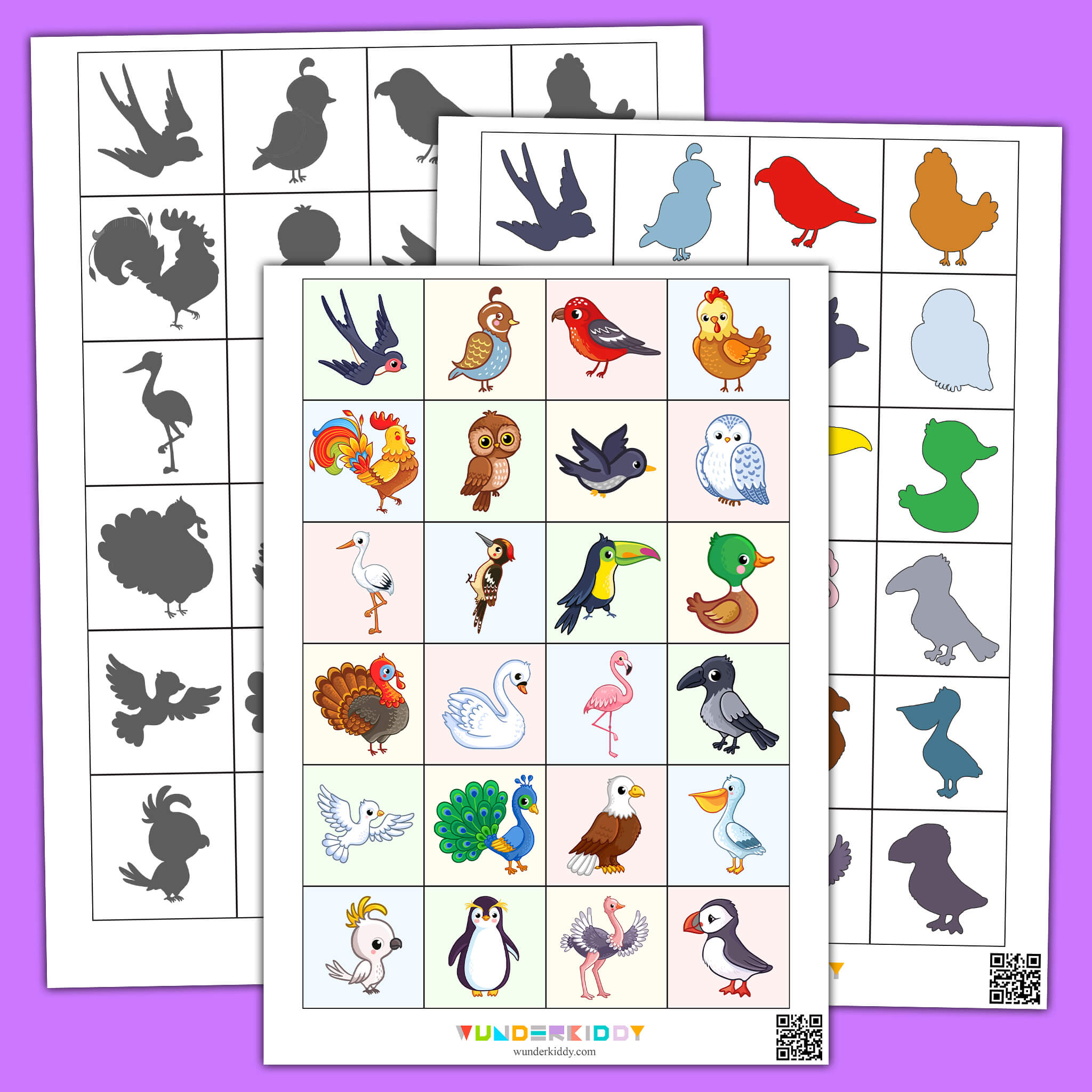 Match The Bird Shadow Worksheet