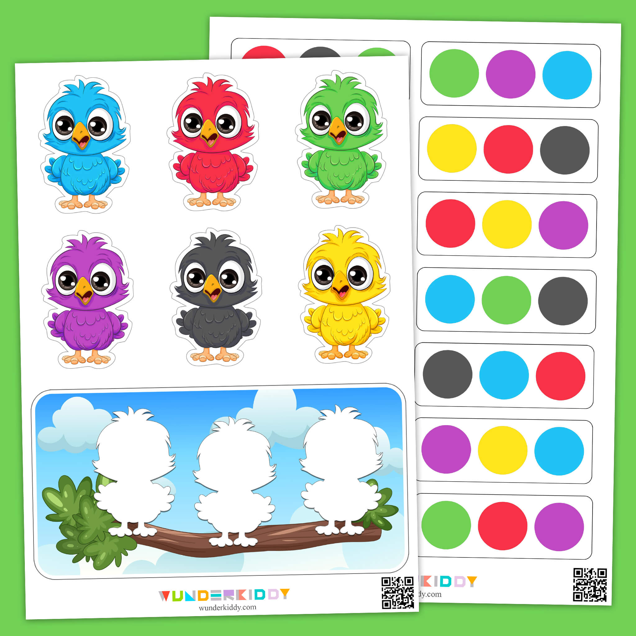 Birds Color Pattern Activity