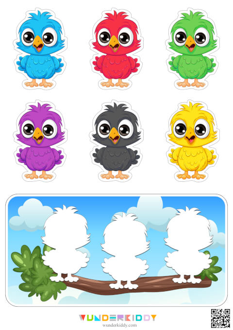 Birds Color Pattern Activity - Image 2