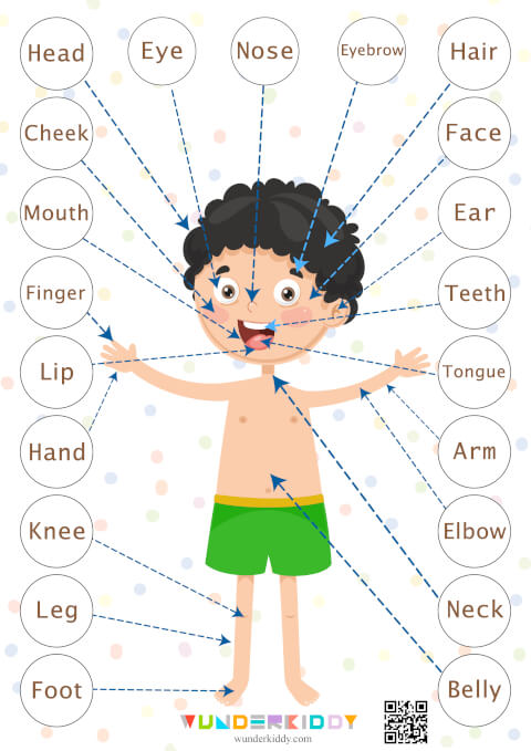 My Body Parts Worksheet - Image 5