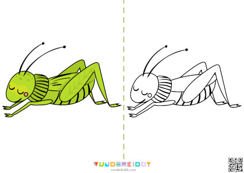 Insects Coloring Pages - Image 8