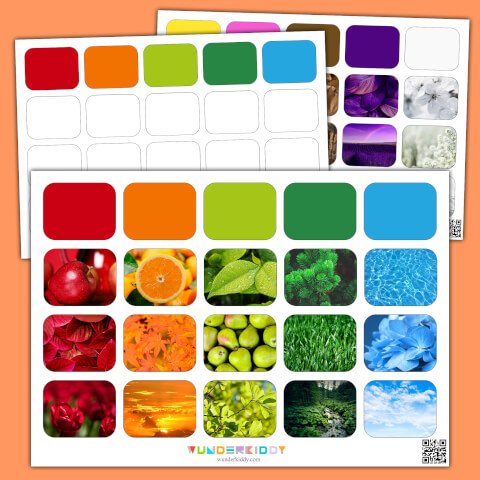 Nature Sorting Montessori Activity - Image 2