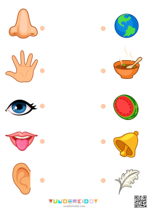 5 Senses Matching Worksheets