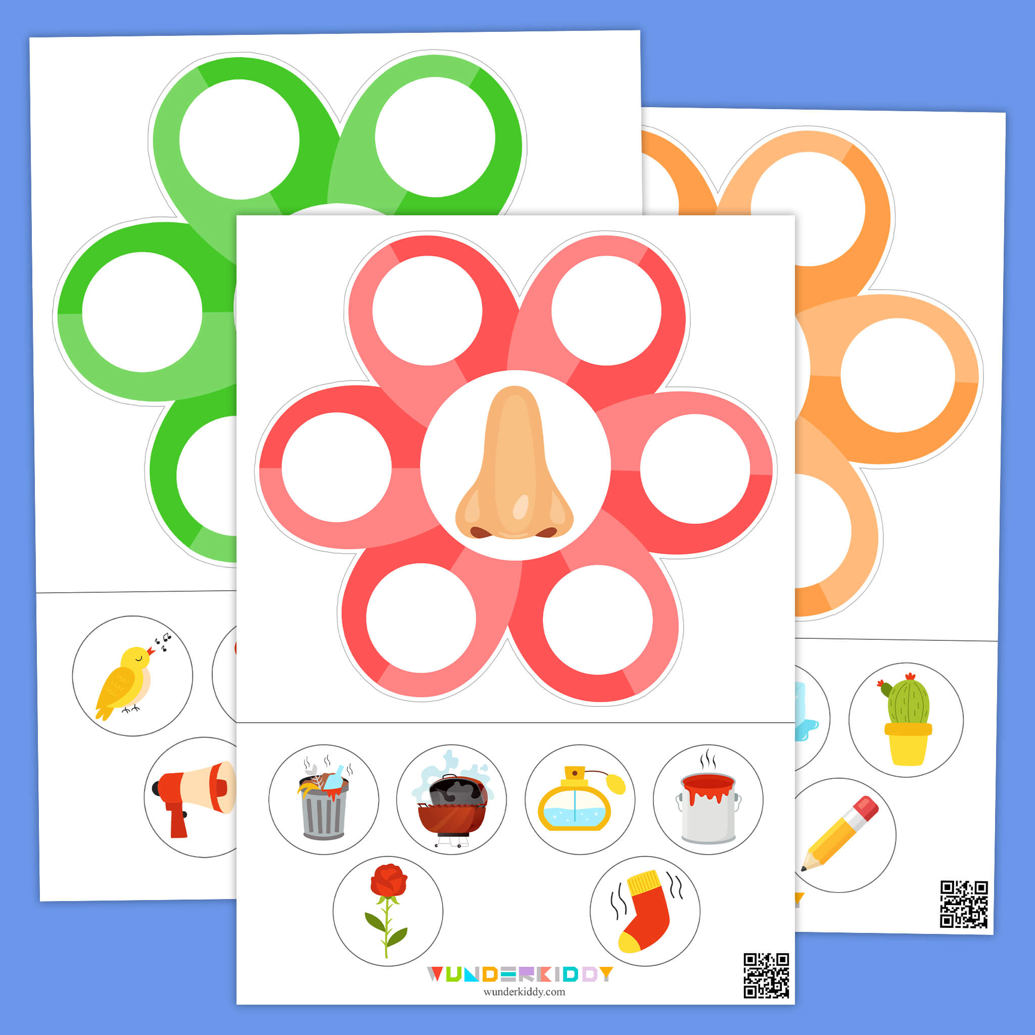 Human Body Senses Sorting Worksheets