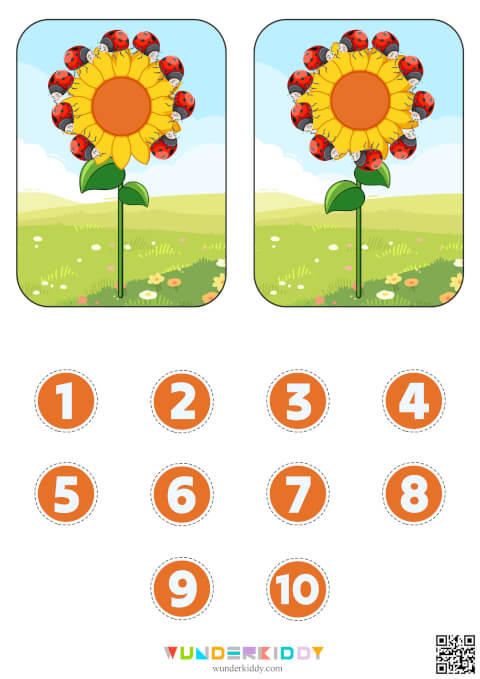 Flower and Ladybug Counting Cards 1-10 - Image 4