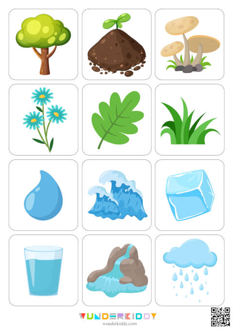 Clasificar elementos de la naturaleza - Imagen 5