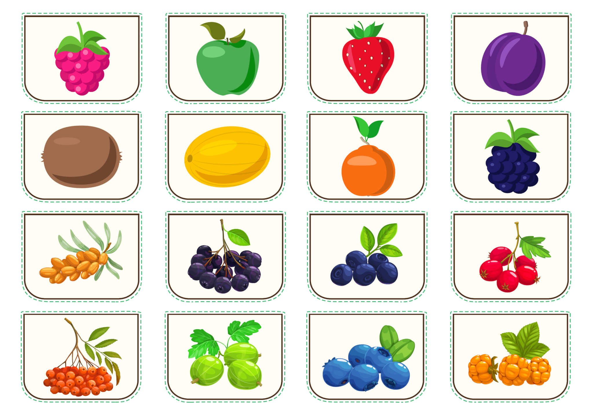 Activity sheet «The colors of fruits and berries»