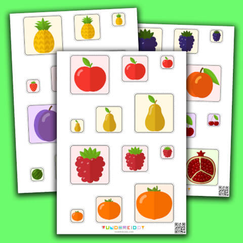 Activity sheet «Fruit Sorting»