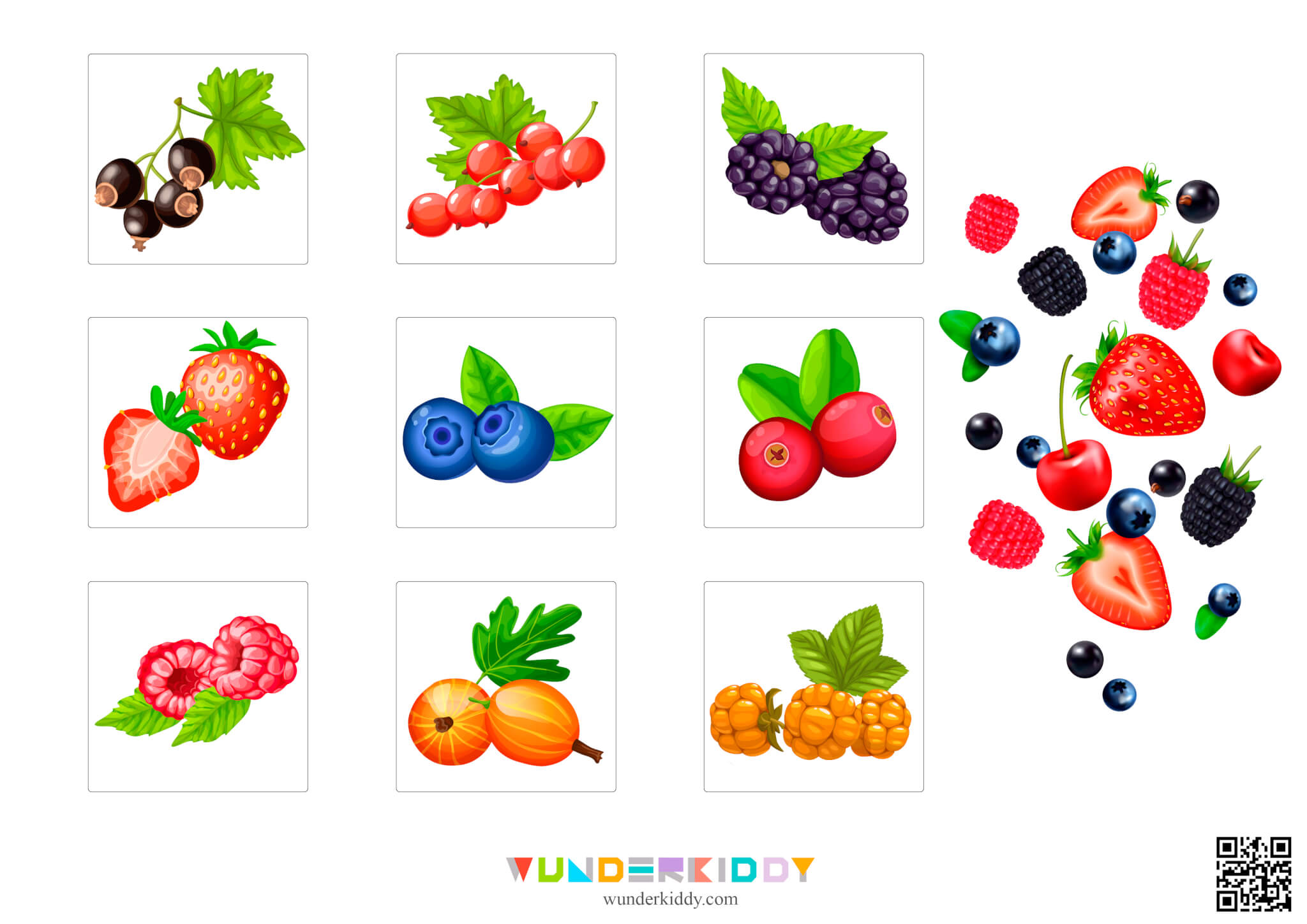 Sorting Game Fruit, Vegetables or Berrie - Image 2