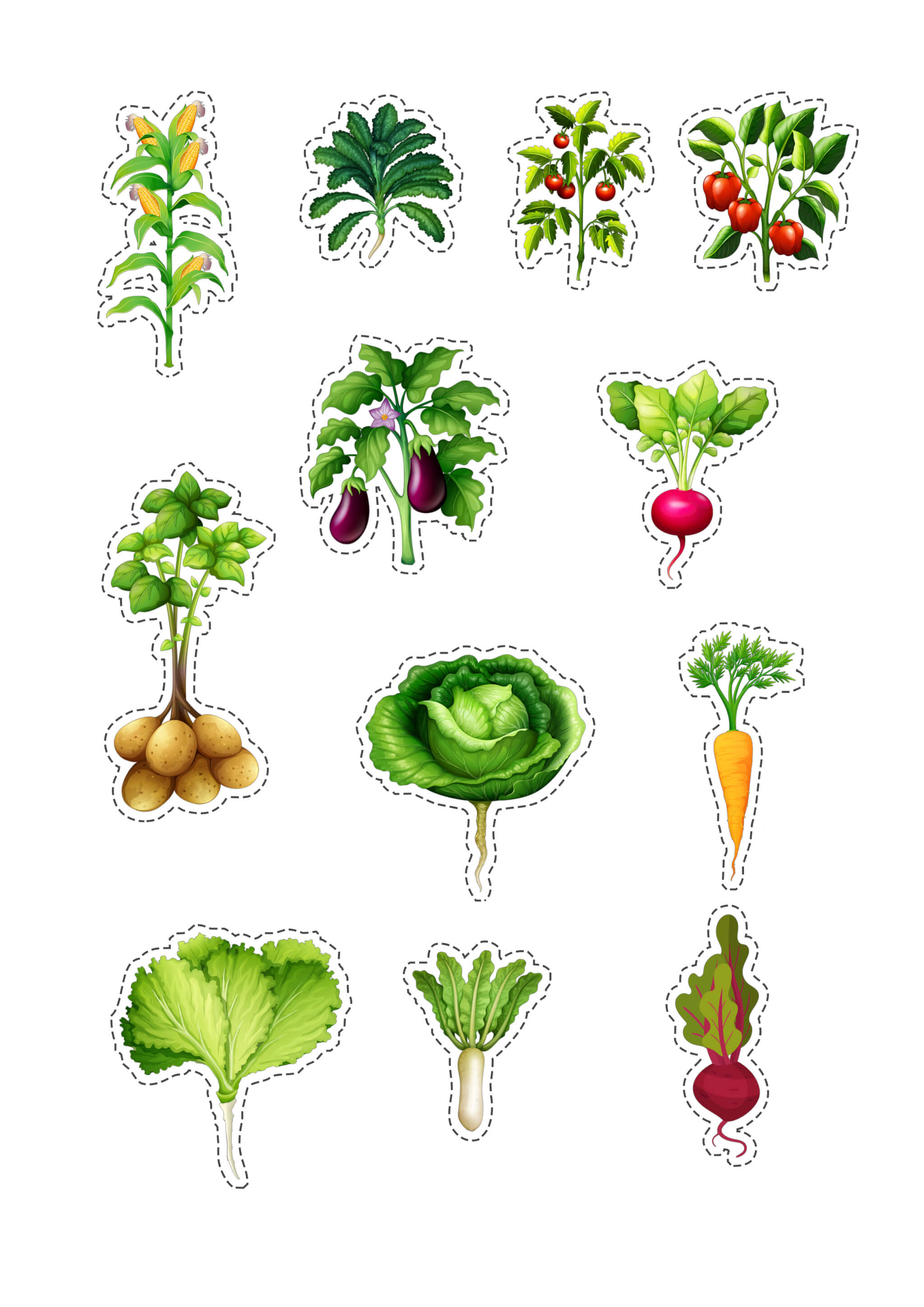 Дидактична гра «Овочі на городі» - Зображення 3