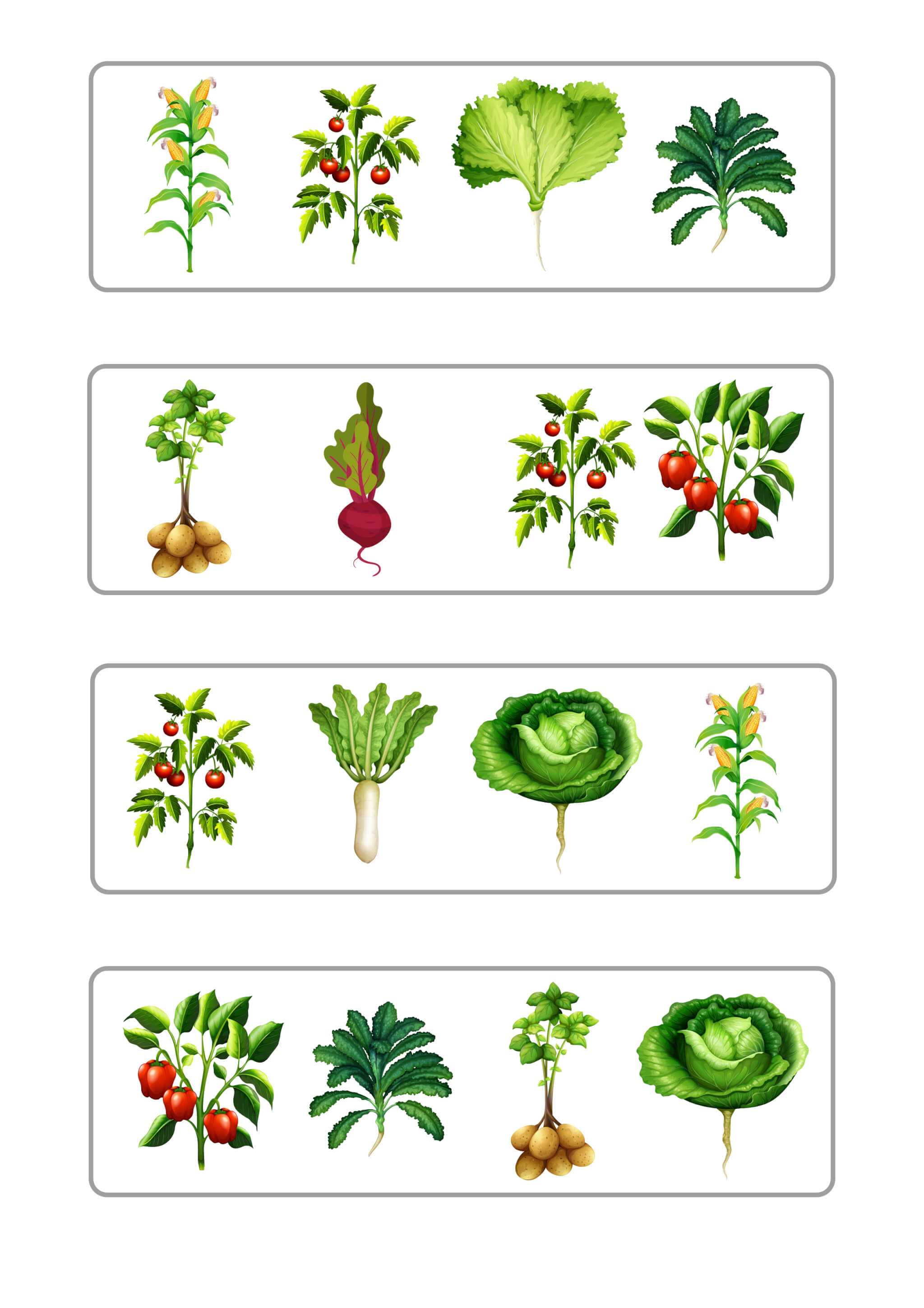 Дидактична гра «Овочі на городі» - Зображення 5
