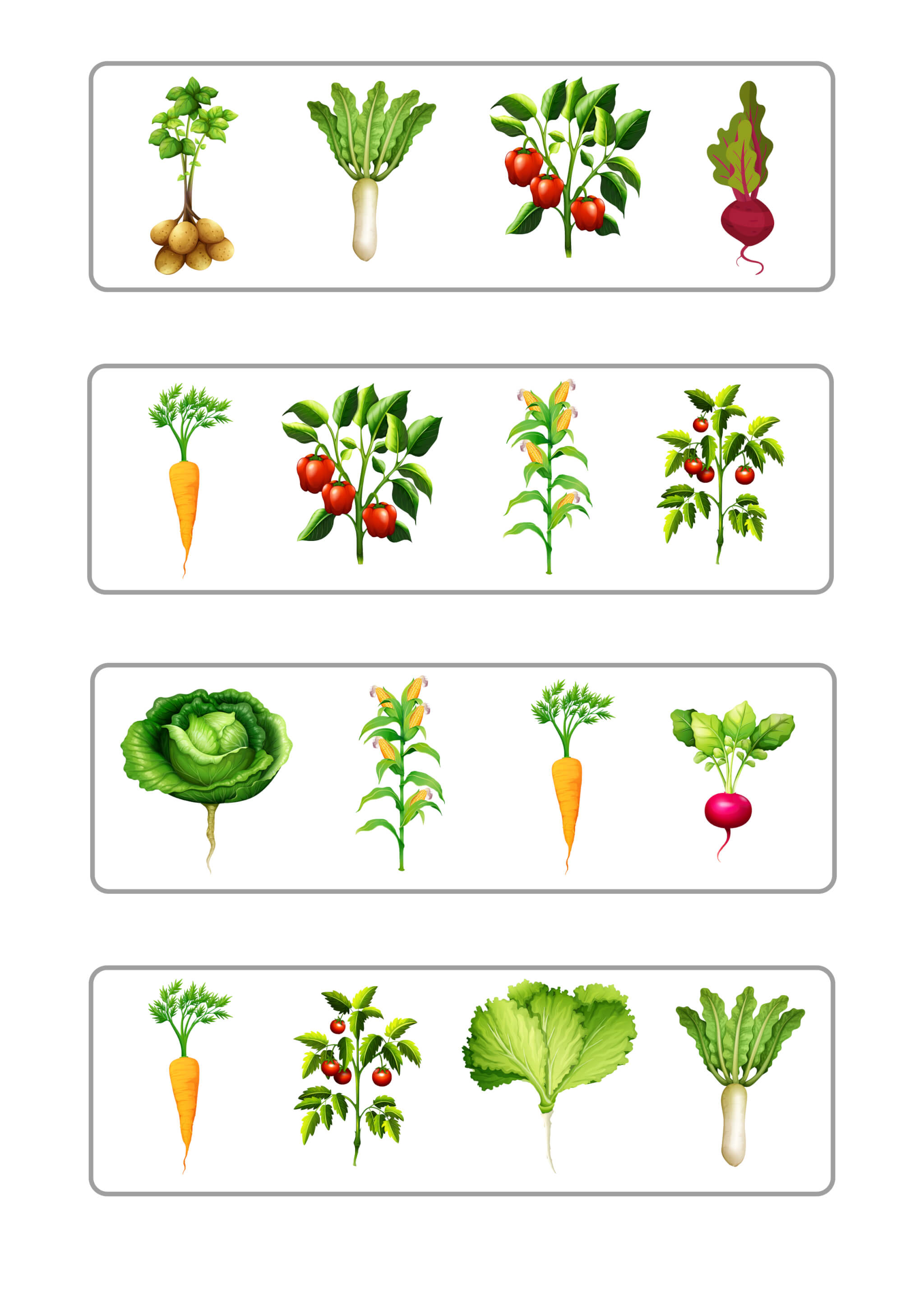 Дидактична гра «Овочі на городі» - Зображення 6