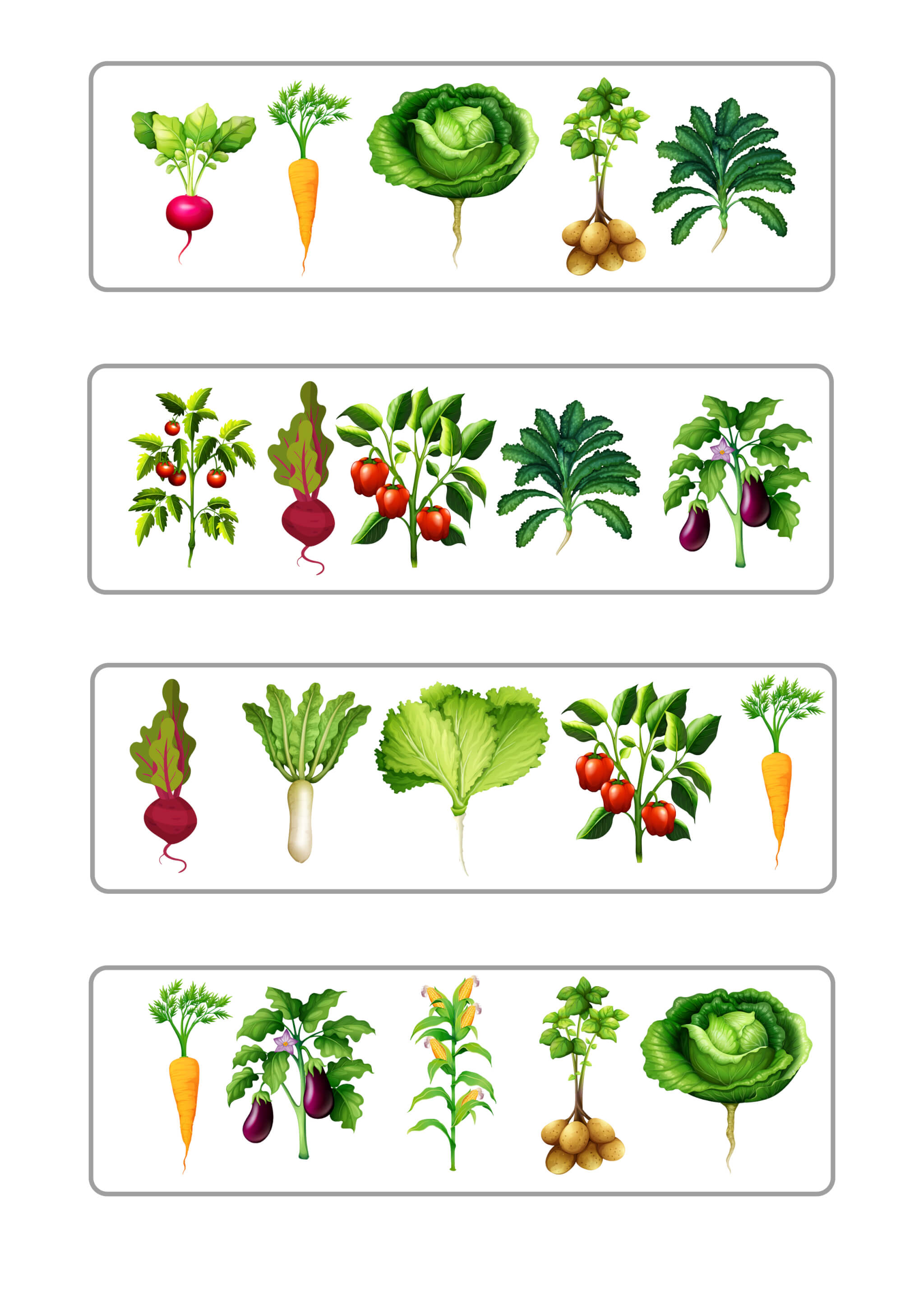Дидактична гра «Овочі на городі» - Зображення 7