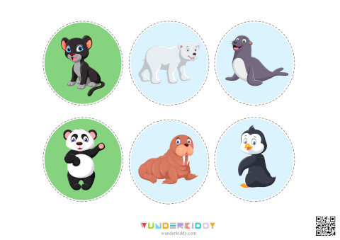 Sorting Activity Animals and Their Habitats - Image 9