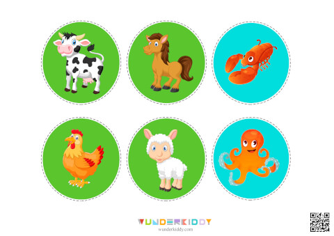 Sorting Activity Animals and Their Habitats - Image 11