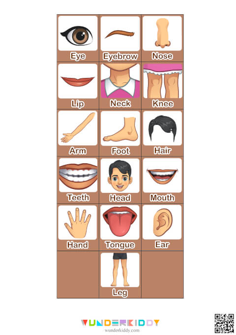 Body Parts Matching Activity - Image 4