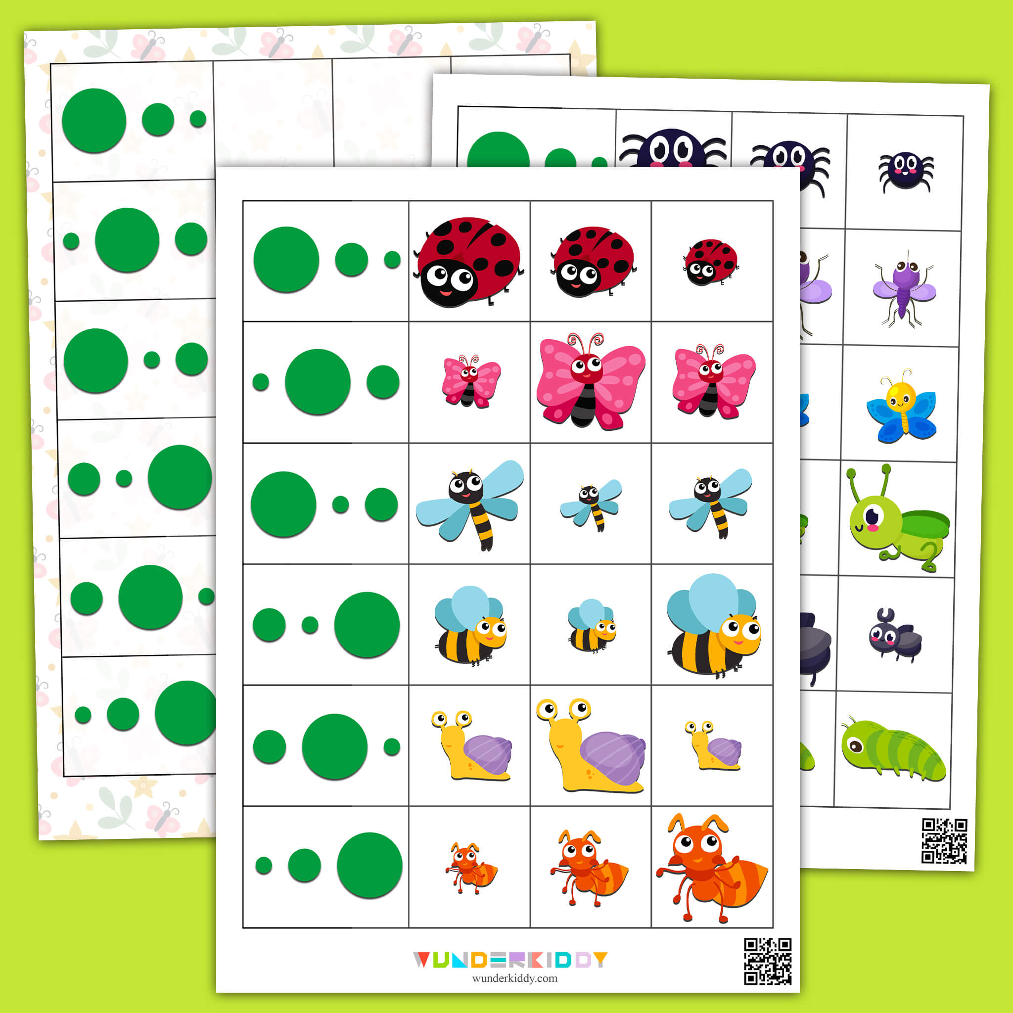 Insects Size Sorting Activity