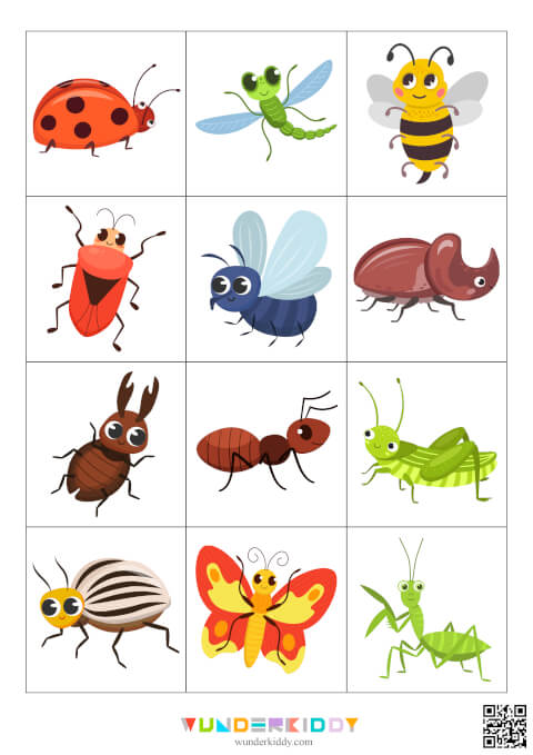 Дидактическая игра «Фото и рисунки насекомых» - Изображение 2