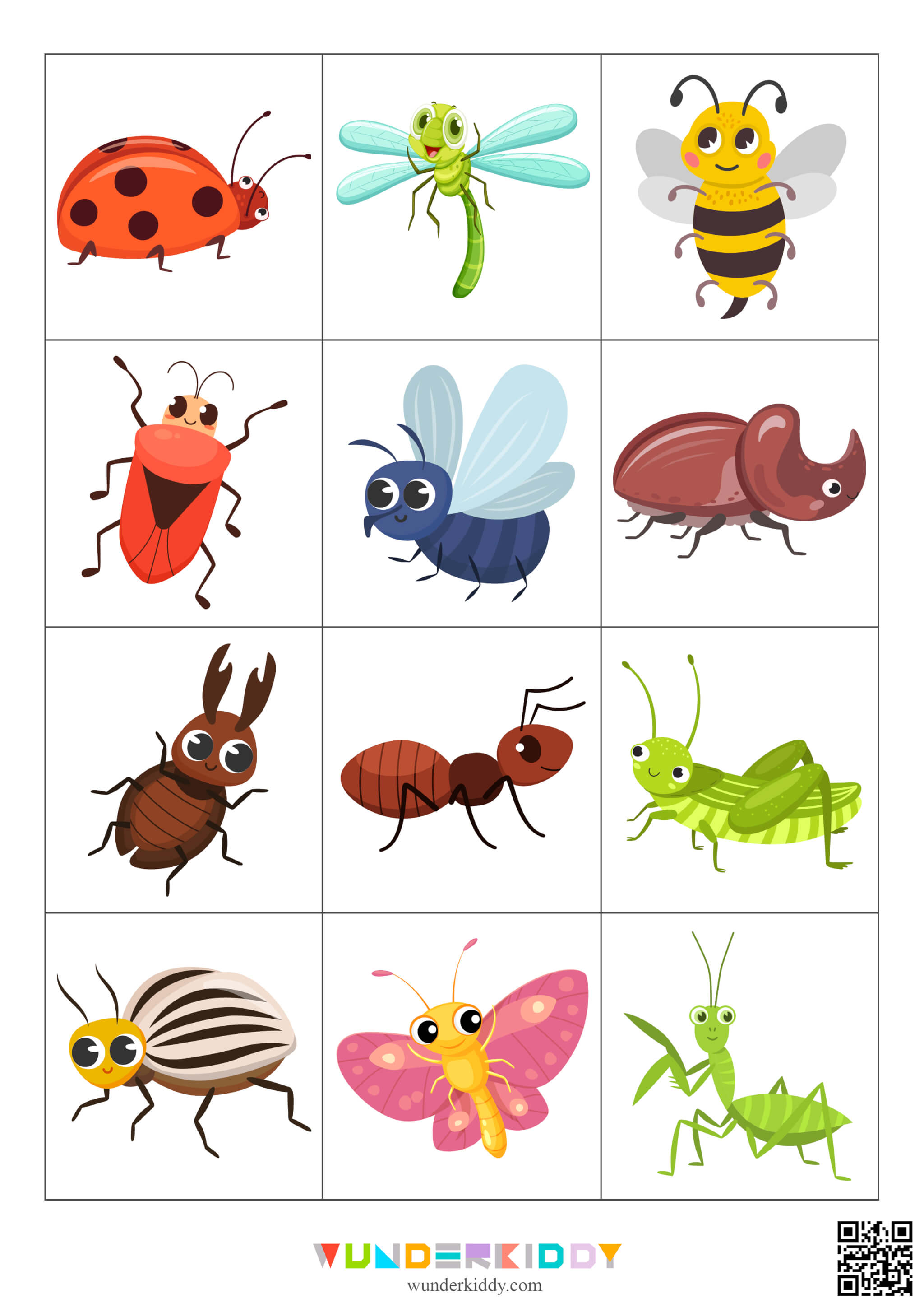 Jeu de correspondance entre dessins et photographies d'insectes - Image 3