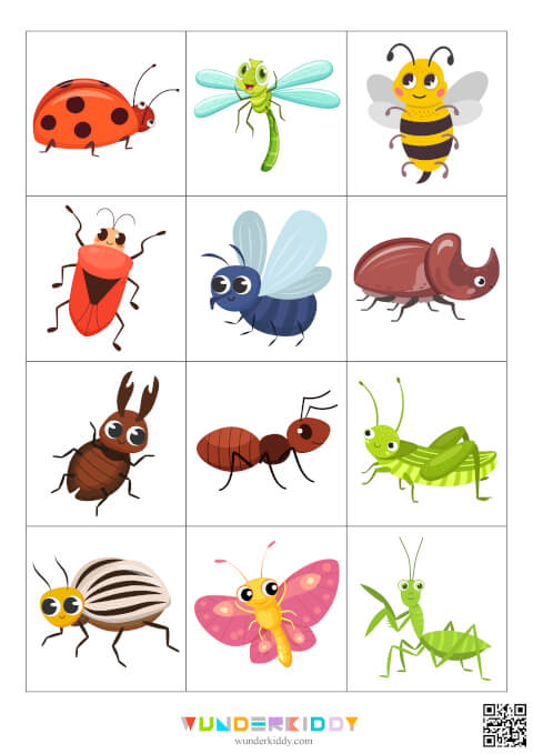 Insects Illustration and Photography Matching Game - Image 3