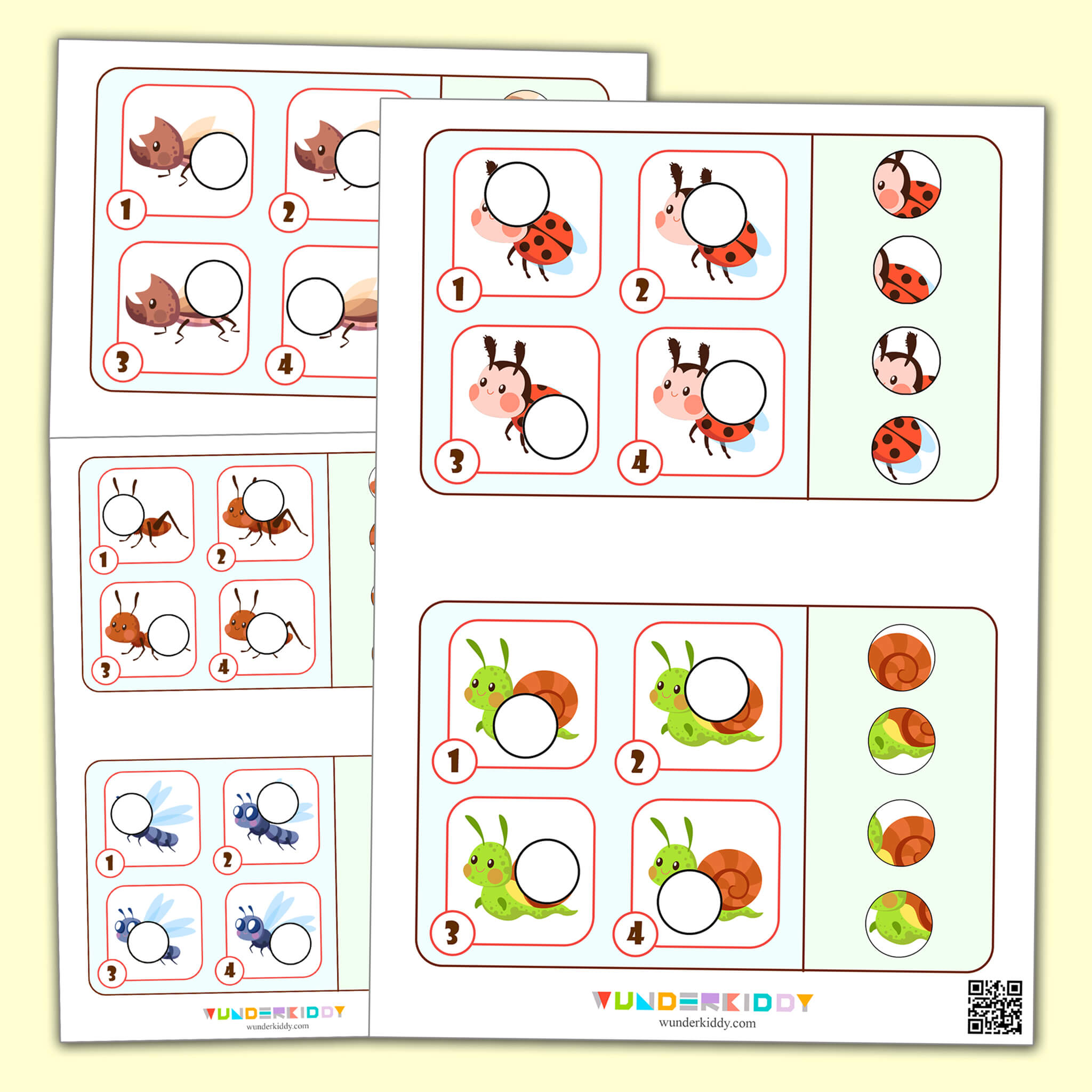 Activity sheet «Insects»