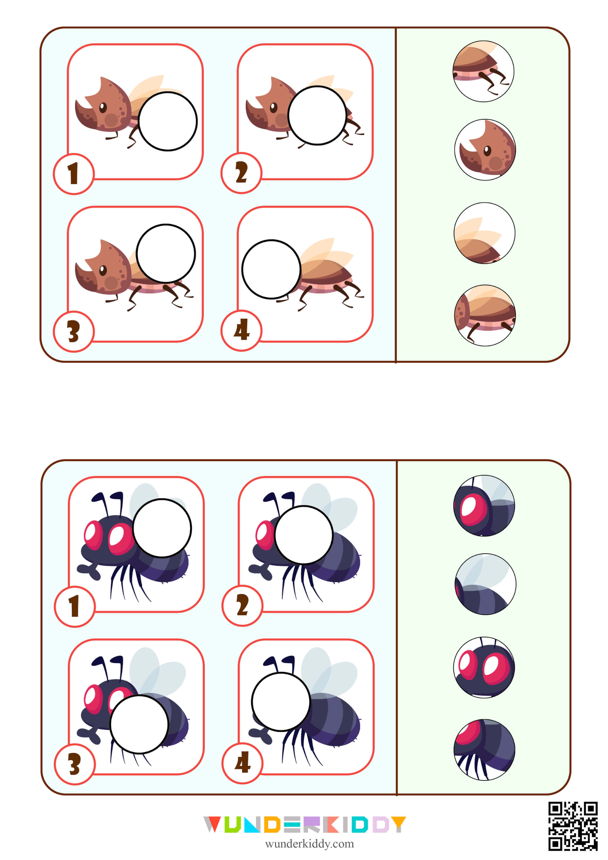 Lernspiel «Insekten» - Bild 6