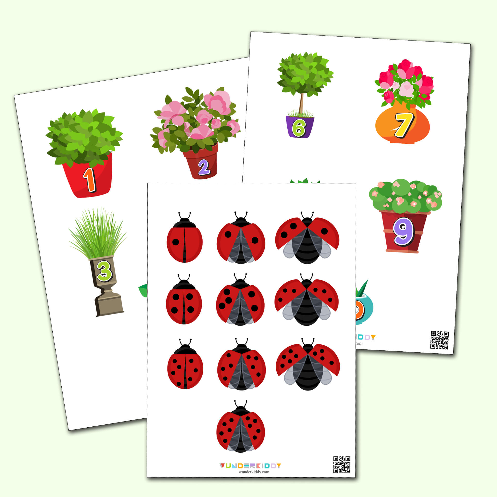 Ladybug and Flower Math Worksheet